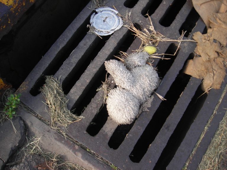 Schwanger, fünf Kinder, kein Dach über dem Kopf – Ukrainische Roma Kinder in Salzburg ab Ostern komplett auf der Straße